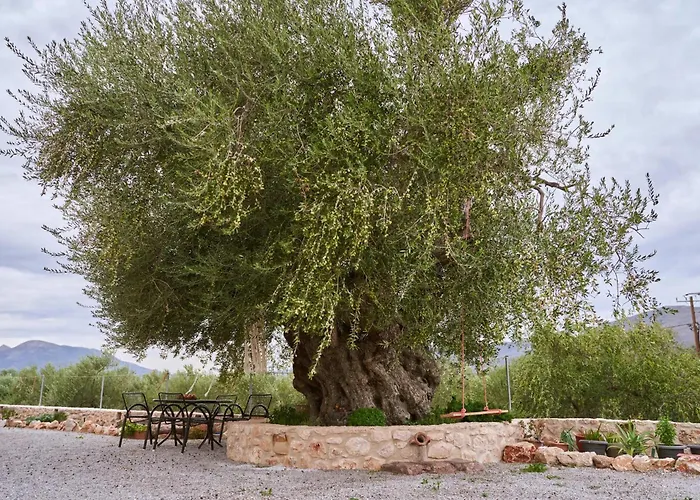 Ckamares Apartment *